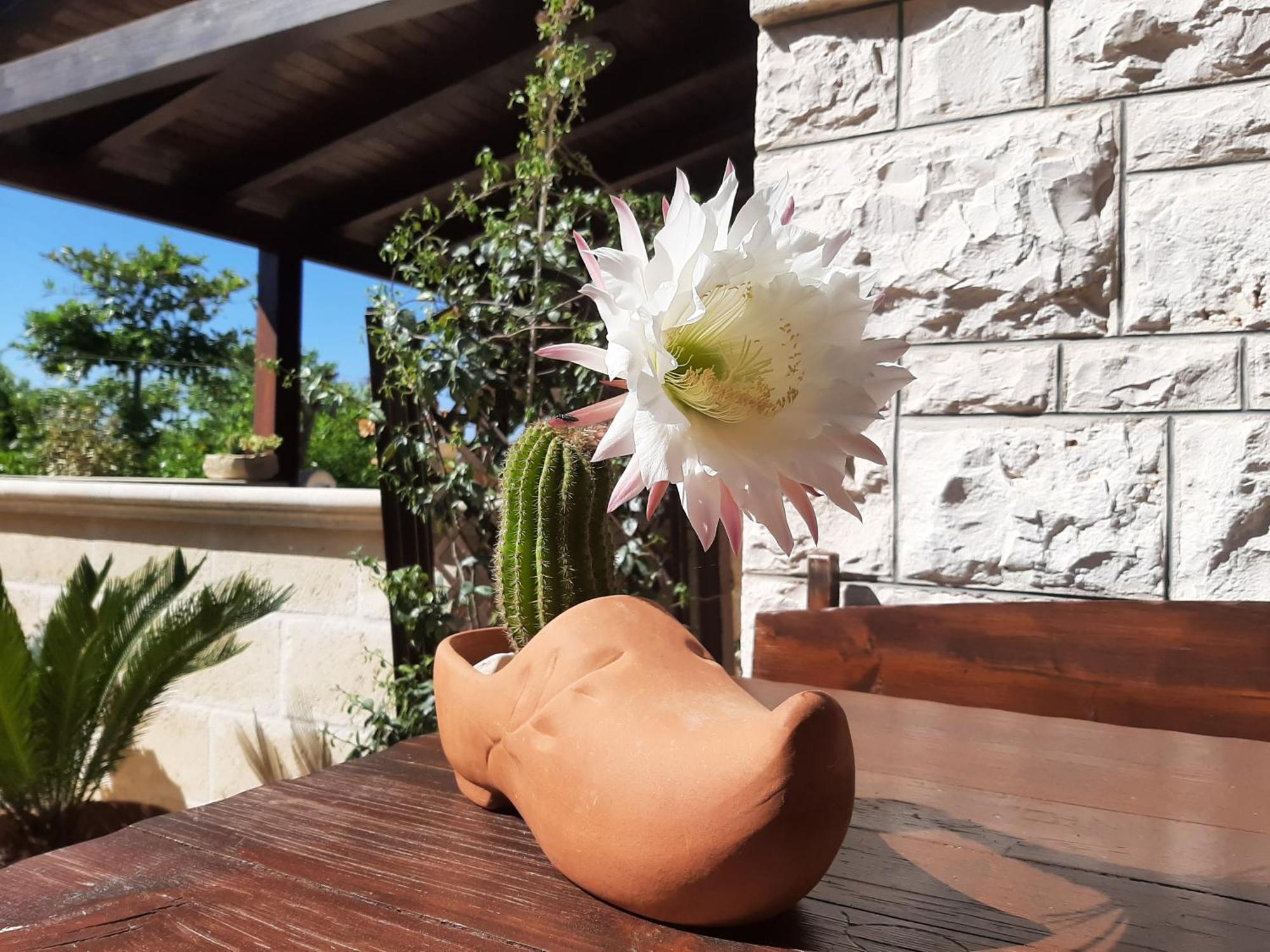 Villa Bellocchio 로코로톤도 외부 사진